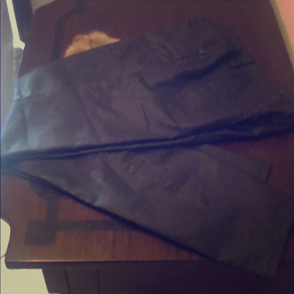 Prana shiny pants